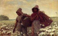 Homer, Winslow - The Cotton Pickers